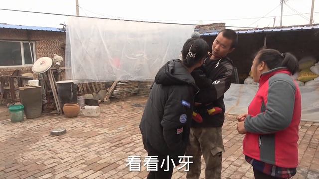 彩鋼搭好了老爸滿意直誇啥？蘑菇燉豆腐，土豆絲蘸糕，真美味【泥土大黑】
