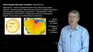 Дубынин В.А. - 100 часов школьной биологии - 2.3. Липиды; аминокислоты