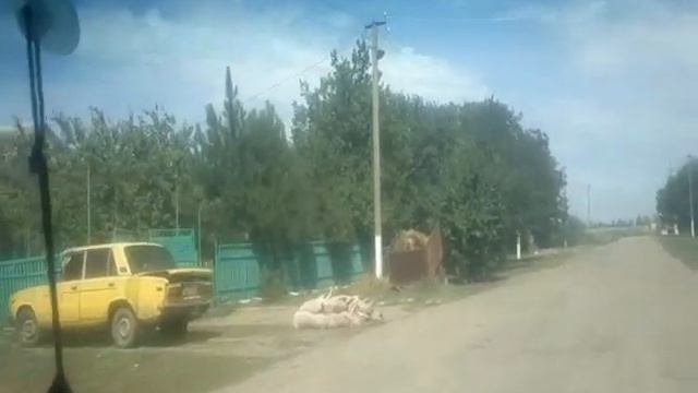 Чума.Запорожская обл.Приморский район с.Камышеватка