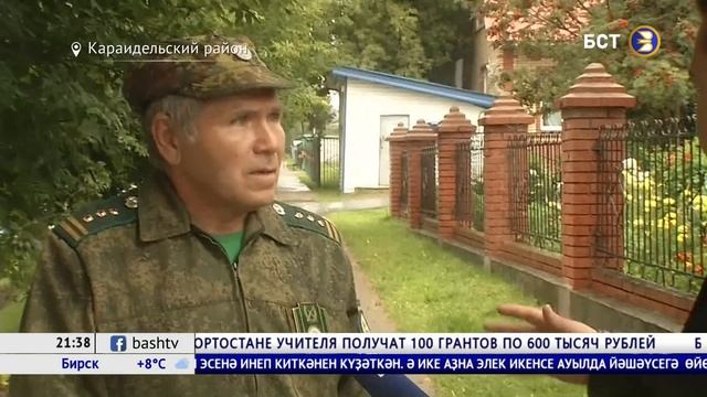 В Башкирии сельчане петардами отбиваются от волков смотреть онлайн