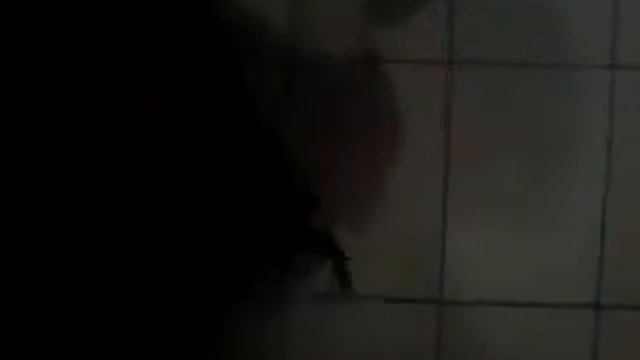 Как правильно мыть кота смотреть онлайн