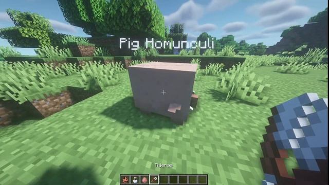 ¿Necesitas Ayudantes? | Mods【FORGE】| Minecraft Java 1.16.5 смотреть онлайн