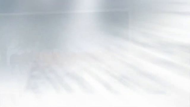 ProShow о волках