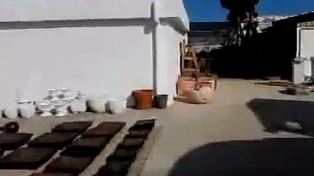 Оранжерея 🌺 в Испании 🇪🇸
