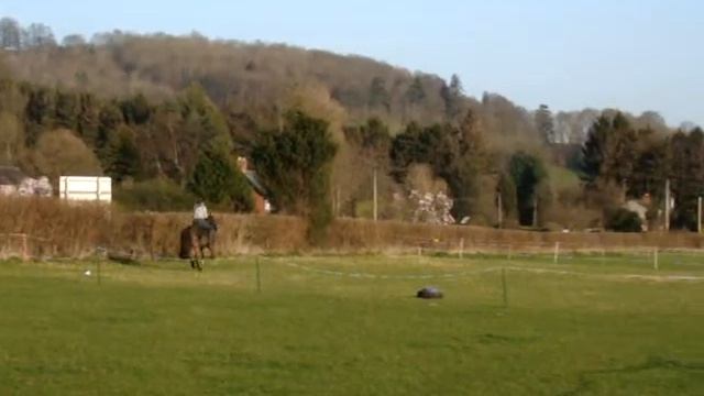 evil and charlie horse jumping 2 смотреть онлайн