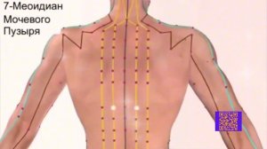 Исцеление при взаимодействии с энергетическими меридианами человека #меридиан #самоисцеление #люблю