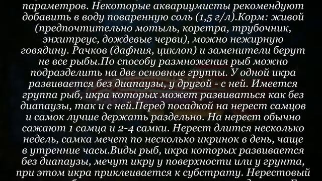 Аквариумная рыбка Афиосемион стриатум смотреть онлайн