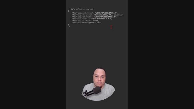 Consulta tu IP pública desde la terminal con CURL смотреть онлайн