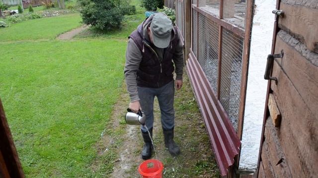 САЛЬМОНЕЛЛЁЗ  ГОЛУБЕЙБОЛЕЕМ 10 ДНЕЙ. Какие последствия итоги лечения.