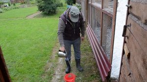 САЛЬМОНЕЛЛЁЗ  ГОЛУБЕЙ,БОЛЕЕМ 10 ДНЕЙ. Какие последствия, итоги лечения.