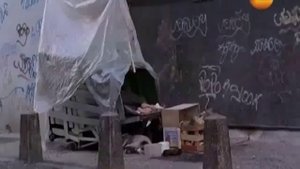 Сексуальная революция- истинные причины