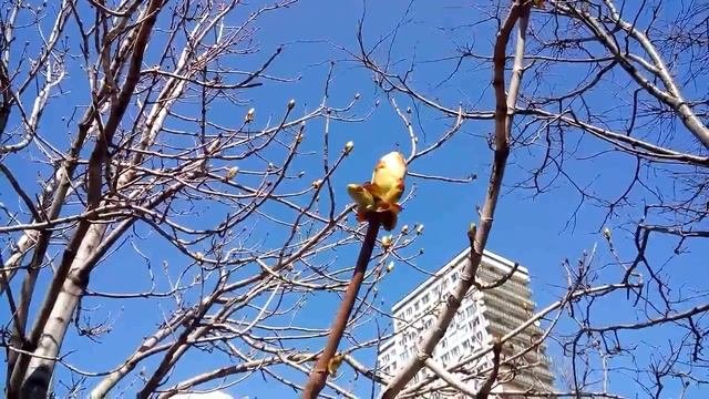 Москва в деталях