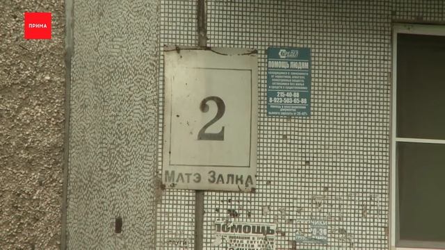 Из конного клуба сбежала лошадь смотреть онлайн