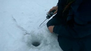 Подготовка электронной удочки для зимней рыбалки к ловле