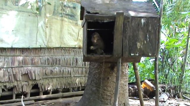 Да не оскудеет рука дающего смотреть онлайн