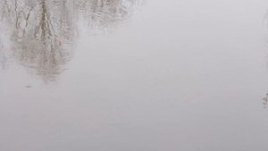 Поплавочная удочка Kaida Elves Bolo 4 м. продолжение обзора.