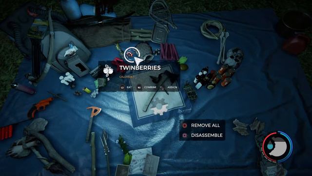 The Forest!?!?!? Getting Ready For Sons of the Forest HardCore Survival Part 2