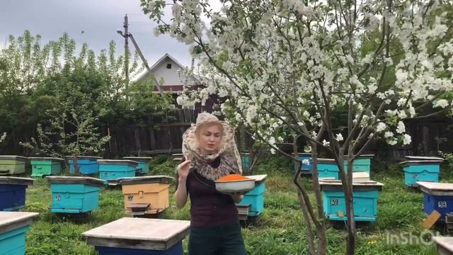 Что такое цветочная пыльца и как ее принимать.