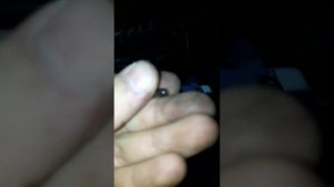 Замена лампочек в подсветки печки Рено сценик 2