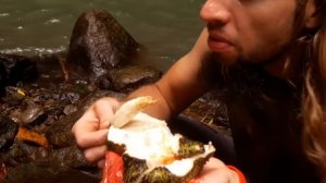 Пробуємо саусеп