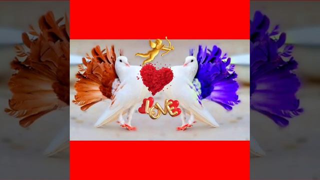 Богом Данная (Олег Щеглов) смотреть онлайн