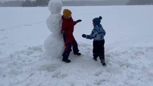мы делили снеговик