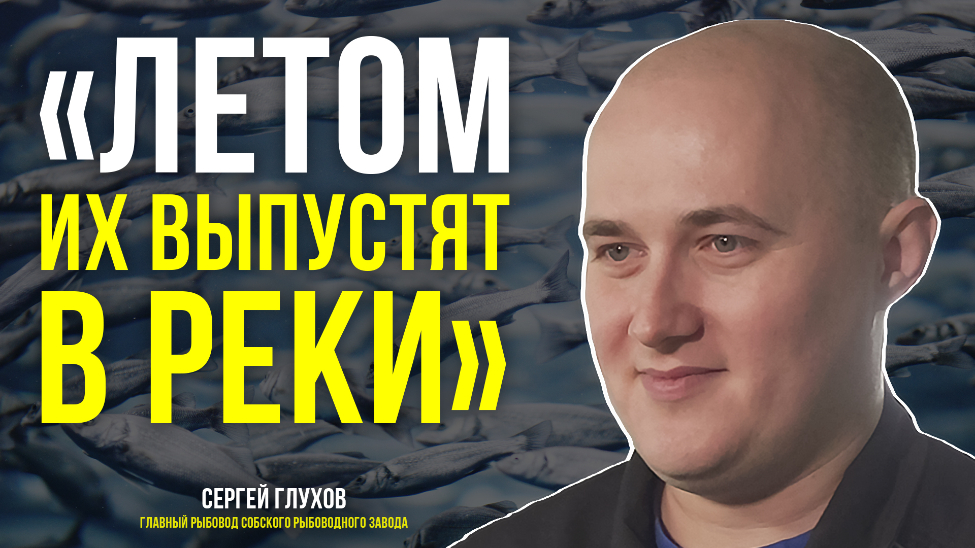 На Собском рыбоводном заводе из икры проклёвываются личинки щёкура и муксуна