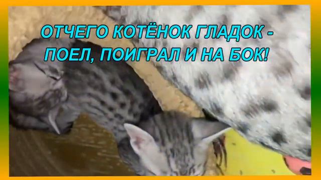 20 марта 2022 г. смотреть онлайн