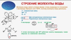 № 196. Неорганическая химия. Тема 23. Вода. Часть 2. Строение молекулы воды