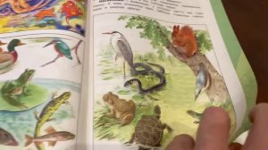 Окружающий мир/3 кл/часть 1/Плешаков/Разнообразие животных/11.11.21