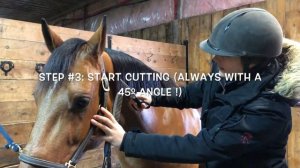 How to cut a perfectly straight mane ! Start to finish under 5 min !