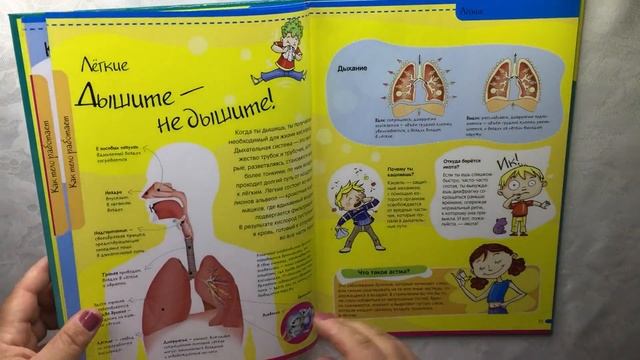 Алехо Родригес-Вида: Тело человека. Нескучная анатомия. Изд. Лабиринт смотреть онлайн