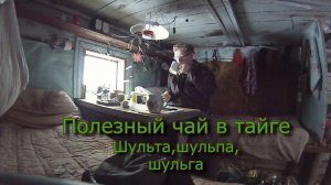 Полезный чай в тайге Шульта Шульпа Шульга