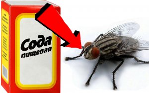 Как Быстро избавиться от мошек За 3 Секунды!!!