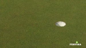 Фертика: удобрения для газона