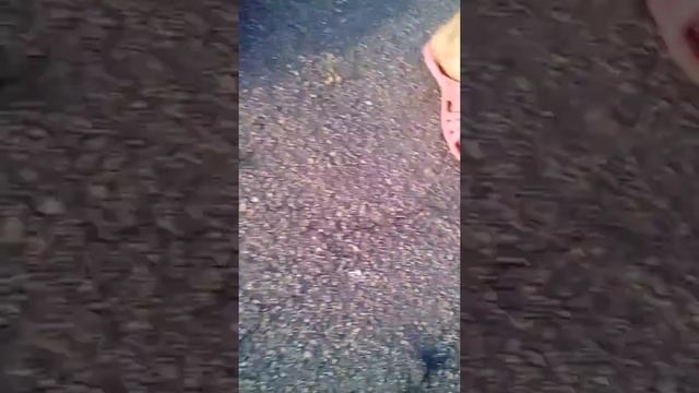 Мир колючек ??? смотреть онлайн