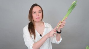Как правильно подрезать тюльпан? / флористика для начинающих