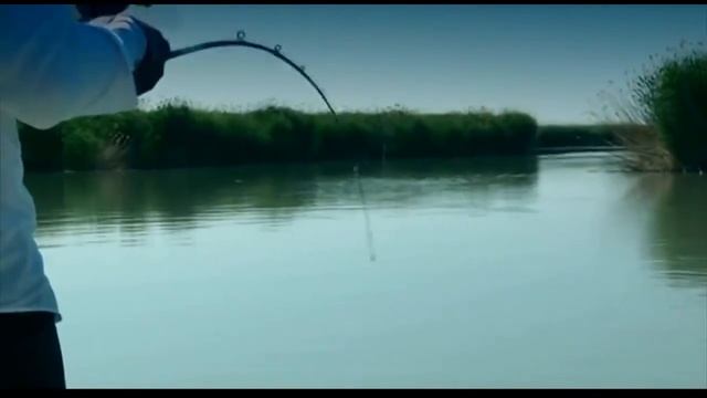 Особенности ловли судака и сома на озере Балхаш. смотреть онлайн