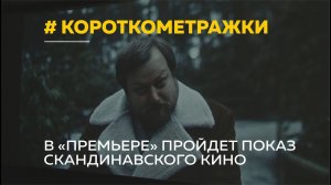 Альтернативное кино в Барнауле: кинотеатр «Премьера» запускает показы авторских фильмов