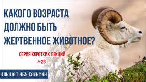 Ильшат Абу Сальман. Какого возраста должно быть жертвенное животное? Серия лекций Курбан-Байрам