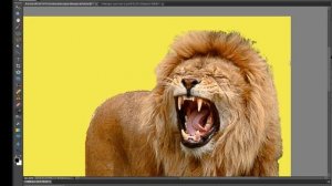 Utiliser le masque de fusion avec Photoshop Éléments 10