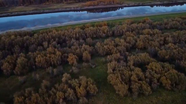 Дальност DJI Mini 2 на стоке 2.4 СЕ, 4км при около 50 м высоты смотреть онлайн