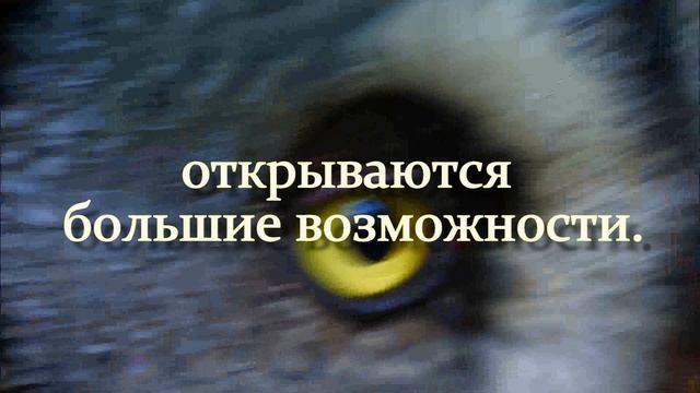Мудрые мысли об оптимизме|Не бойся трудностей