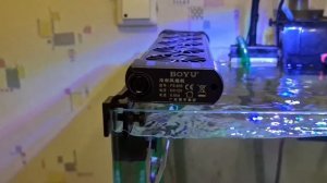 Два морских аквариума Aquatlantis Evasion 230 литров и Аквариум Dennerle NanoCube 60 литров