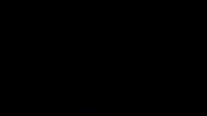 Домик для фазанов