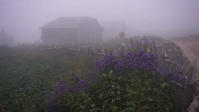 Горная деревня в Аджарии