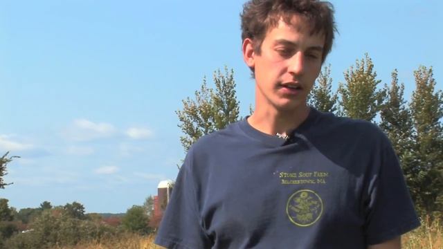 Vegetable Gardening : How to Grow Summer Squash смотреть онлайн