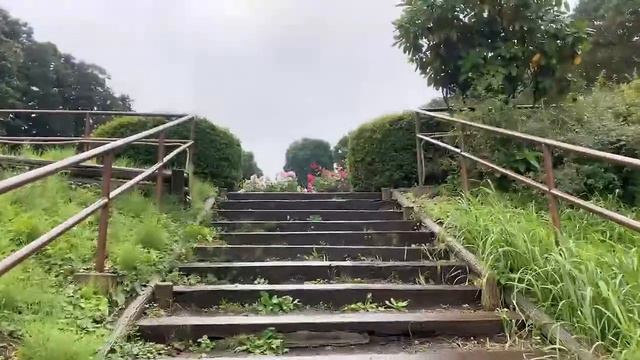 Amazing Dahlia Garden in Machida 🇯🇵Walking in Japan смотреть онлайн