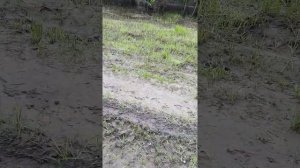 Трицикл на базе мотоцикл Урал 2