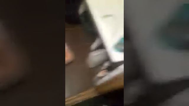 Лолллллл мужик обосадся и спит смотреть онлайн